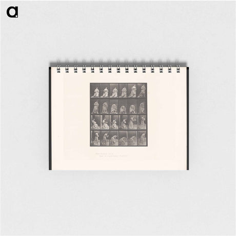 アートメモ帳-Woman with Fan and Handkerchief
 - エドワード マイブリッジ Memo.