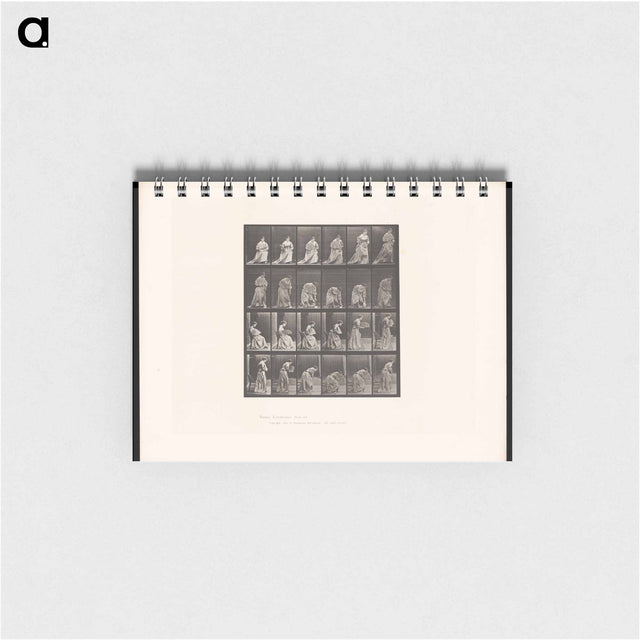 アートメモ帳-Woman with Fan and Handkerchief
 - エドワード マイブリッジ Memo.