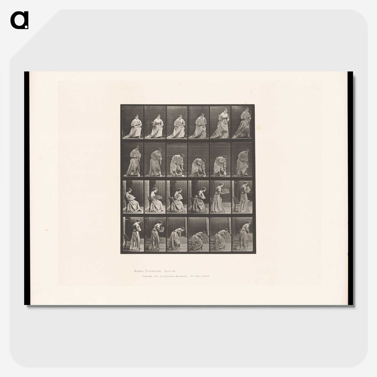 3-49_Eadweard-Muybridge_picture-crop