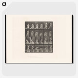 3-49_Eadweard-Muybridge_picture-crop