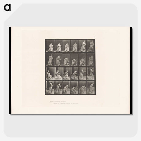 3-49_Eadweard-Muybridge_picture-crop
