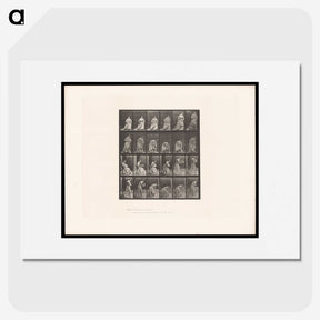 3-49_Eadweard-Muybridge_picture