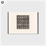 アートポストカード-Woman with Fan and Handkerchief
 - エドワード マイブリッジ Postcard.
