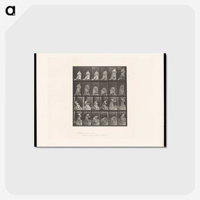 3-49_Eadweard-Muybridge_postcard