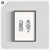 3-49_Ernst-Haeckel_blk