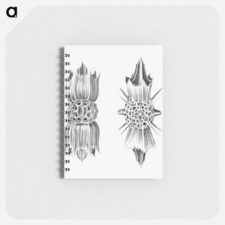 アートメモ帳-Vintage marine life illustration on white background - エルンスト ヘッケル Memo.
