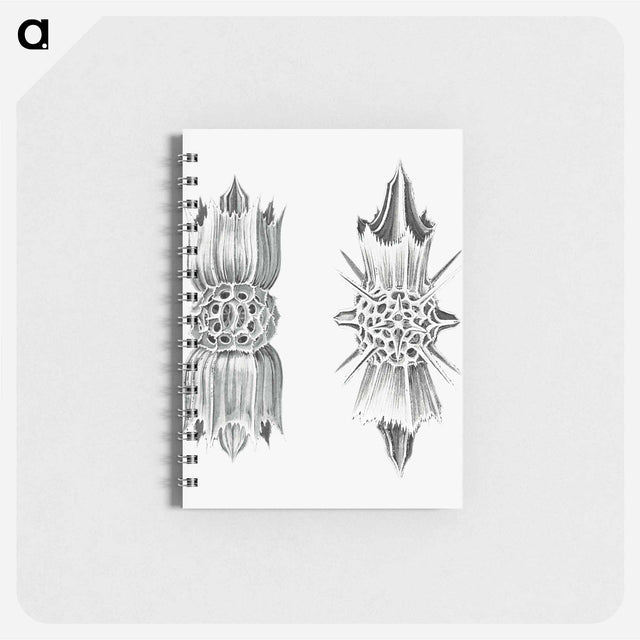 アートメモ帳-Vintage marine life illustration on white background - エルンスト ヘッケル Memo.