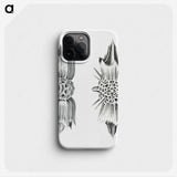 3-49_Ernst-Haeckel_phone