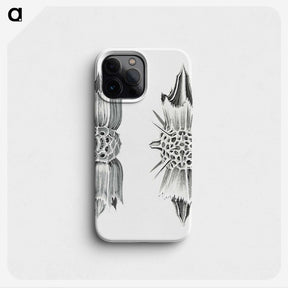 3-49_Ernst-Haeckel_phone