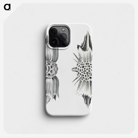 3-49_Ernst-Haeckel_phone