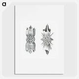 Vintage marine life illustration on white background - エルンスト ヘッケル Poster.