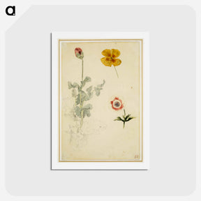 アートポストカード-Study of Flowers - ウジェーヌ ドラクロワ Postcard.