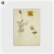 3-49_Eugene-Delacroix_postcard