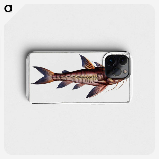 3-49_Ichtyologie-ou-Histoire-naturelle_phone