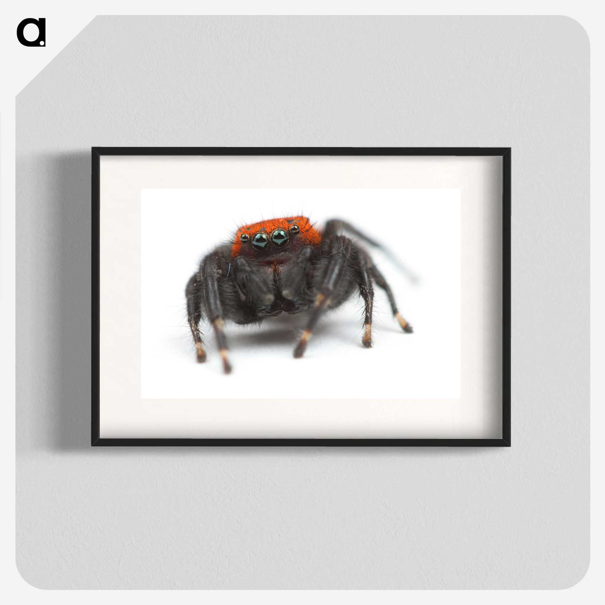 3-49_Insects-Unlocked-Project_blk