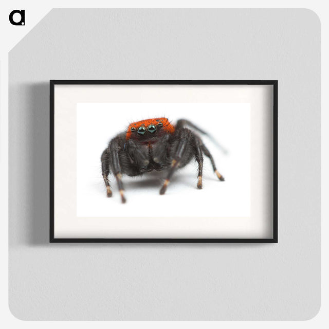 3-49_Insects-Unlocked-Project_blk