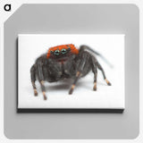 3-49_Insects-Unlocked-Project_canvas