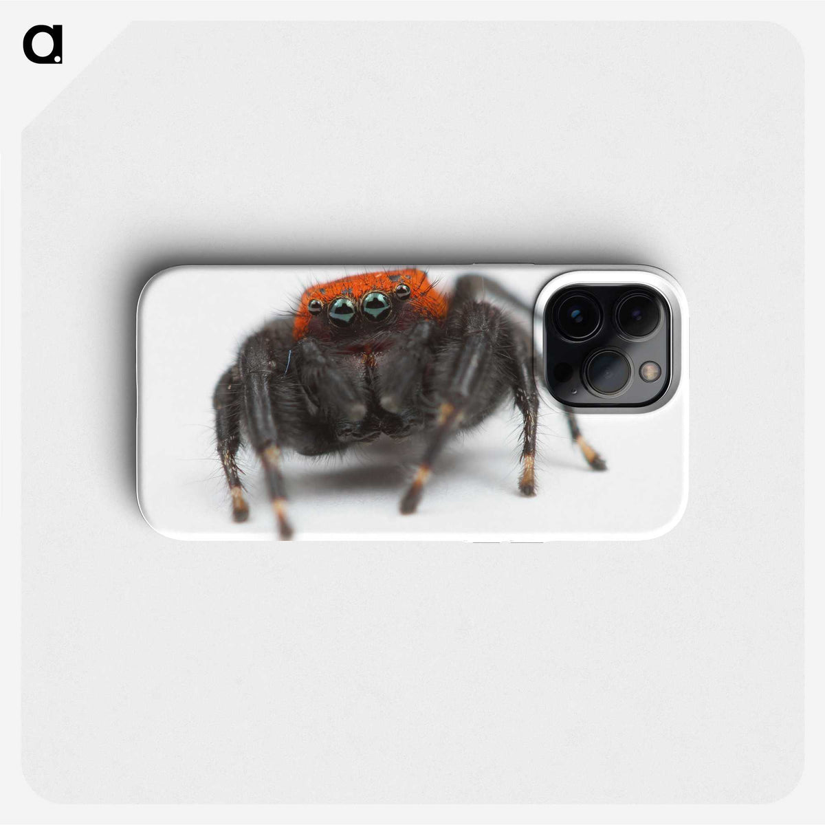 3-49_Insects-Unlocked-Project_phone