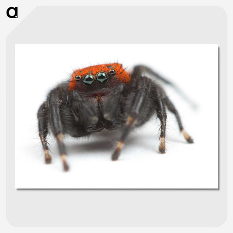 3-49_Insects-Unlocked-Project_picture-crop