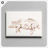 アートパネル-Lying pig - ジャン ベルナール Canvas.