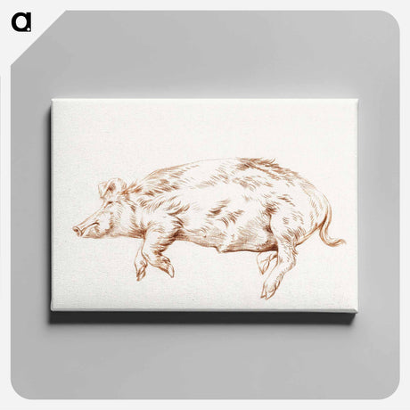 アートパネル-Lying pig - ジャン ベルナール Canvas.