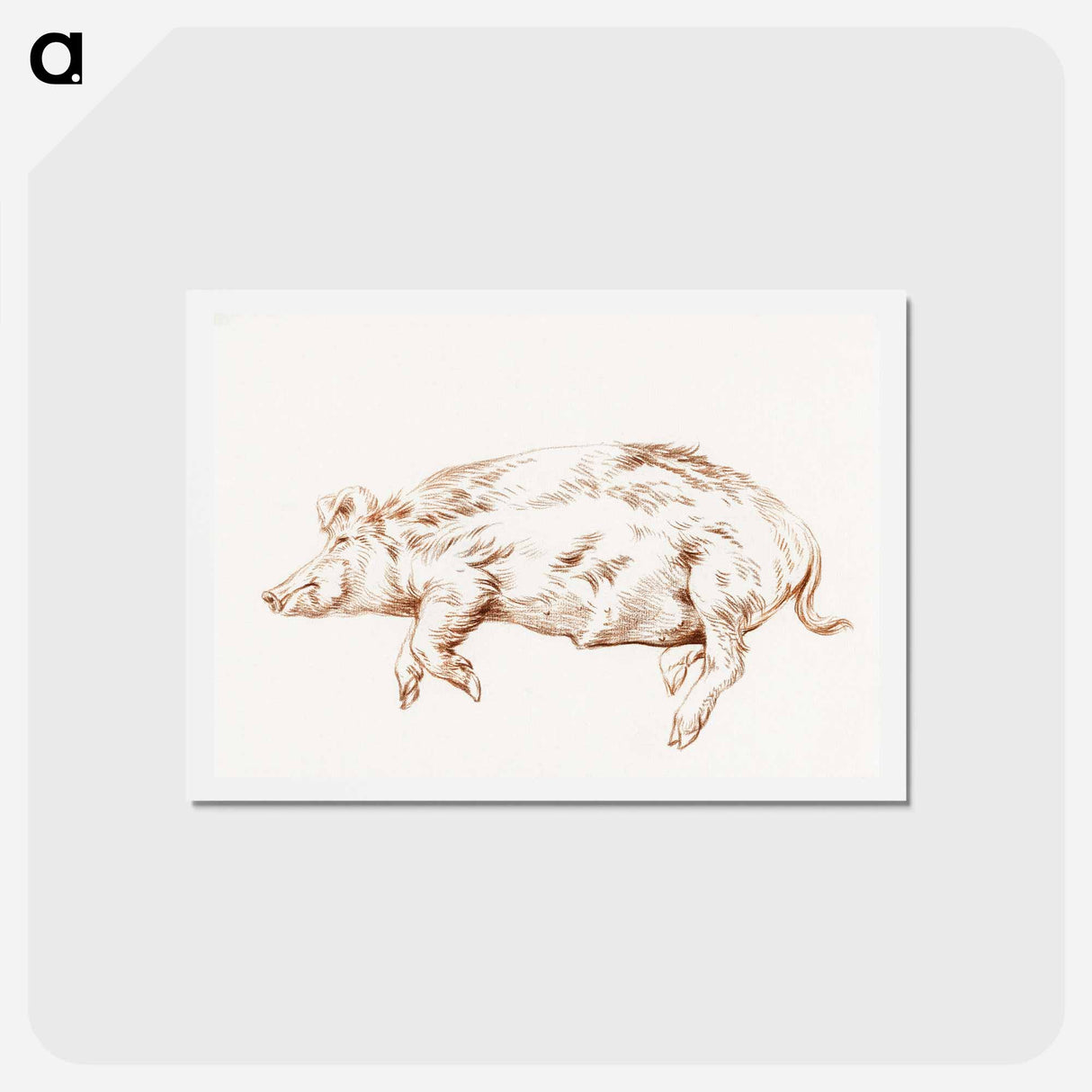 アートポストカード-Lying pig - ジャン ベルナール Postcard.