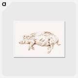 アートポストカード-Lying pig - ジャン ベルナール Postcard.