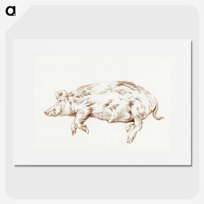 3-49_Jean-Bernard_picture