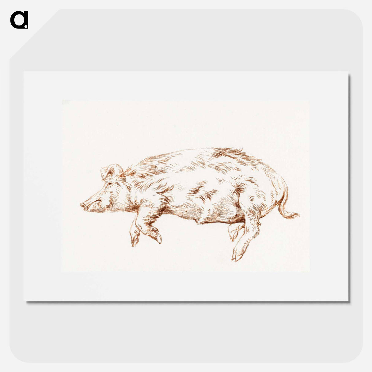 Lying pig - ジャン ベルナール Poster.