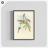 3-49_John-Gould_blk-crop