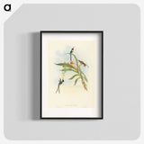 3-49_John-Gould_blk