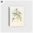 3-49_John-Gould_memo