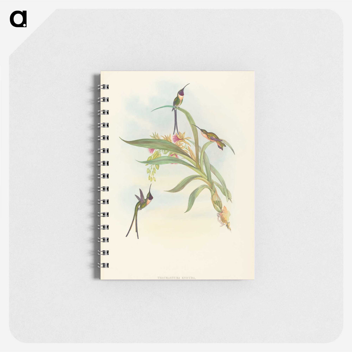 3-49_John-Gould_memo