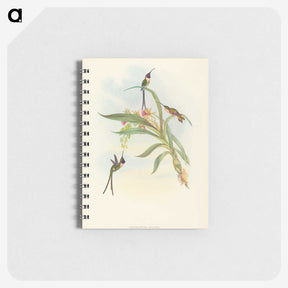 3-49_John-Gould_memo