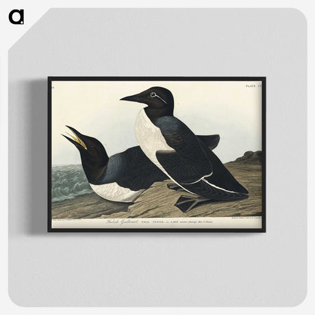 3-49_John-James-Audubon_blk-crop