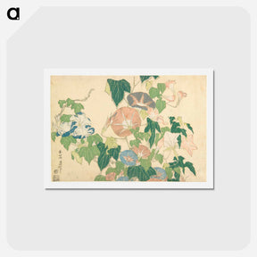 アートポストカード-Morning Glories and Tree Frog - 葛飾 北斎 Postcard.