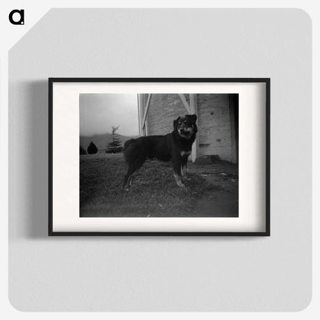 3-49_Leslie-Adkin_blk