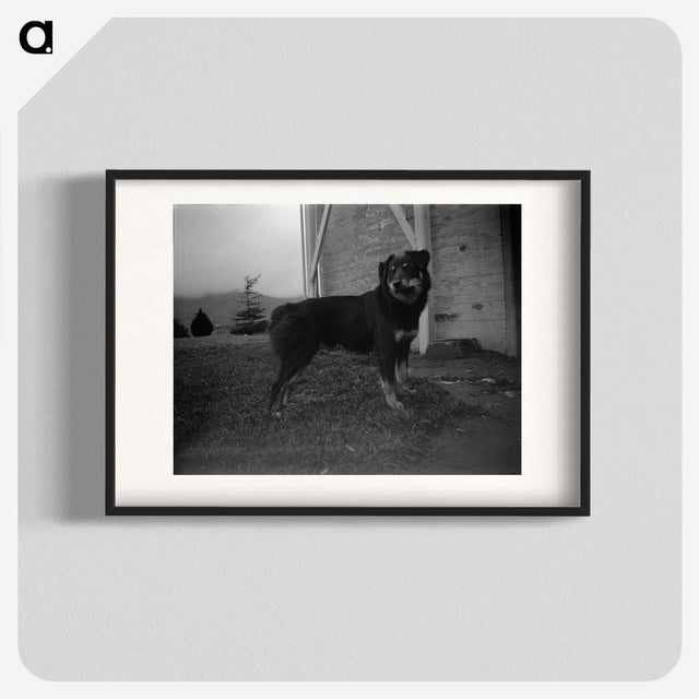 3-49_Leslie-Adkin_blk