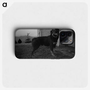 3-49_Leslie-Adkin_phone