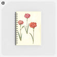 アートメモ帳-Dianthus caryophyllus
 - マリア ジビーラ メーリアン Memo.