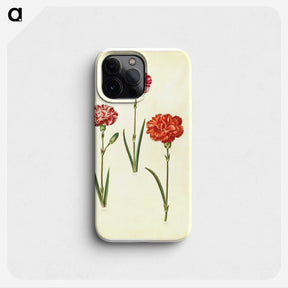 3-49_Maria-Sibylla-Merian_phone