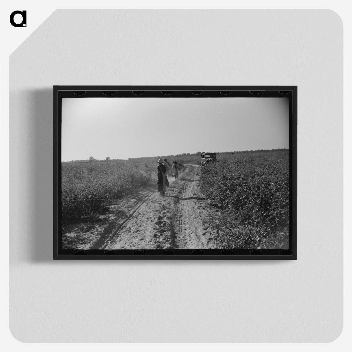 3-49_Marion-Post-Wolcott_blk-crop
