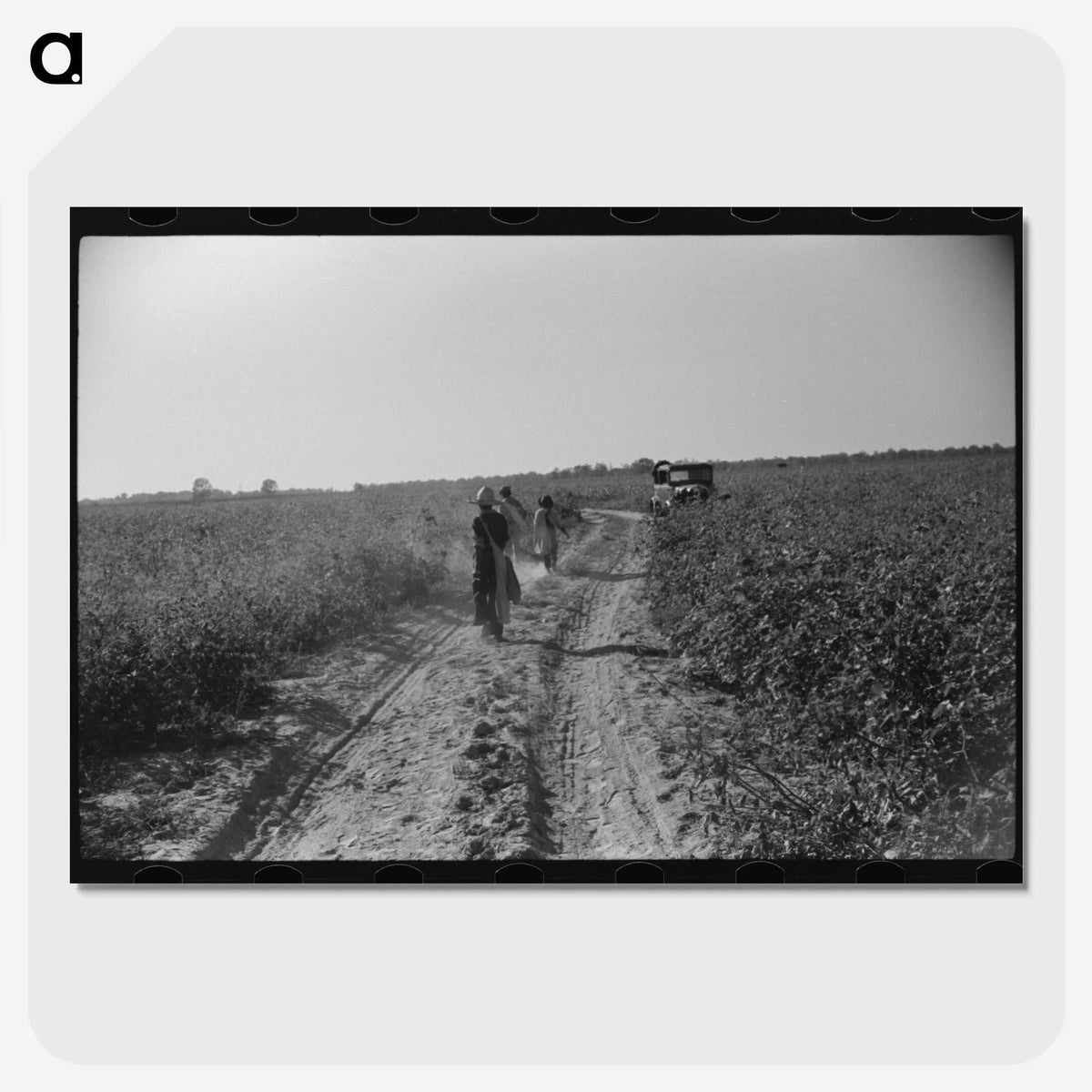 3-49_Marion-Post-Wolcott_picture-crop