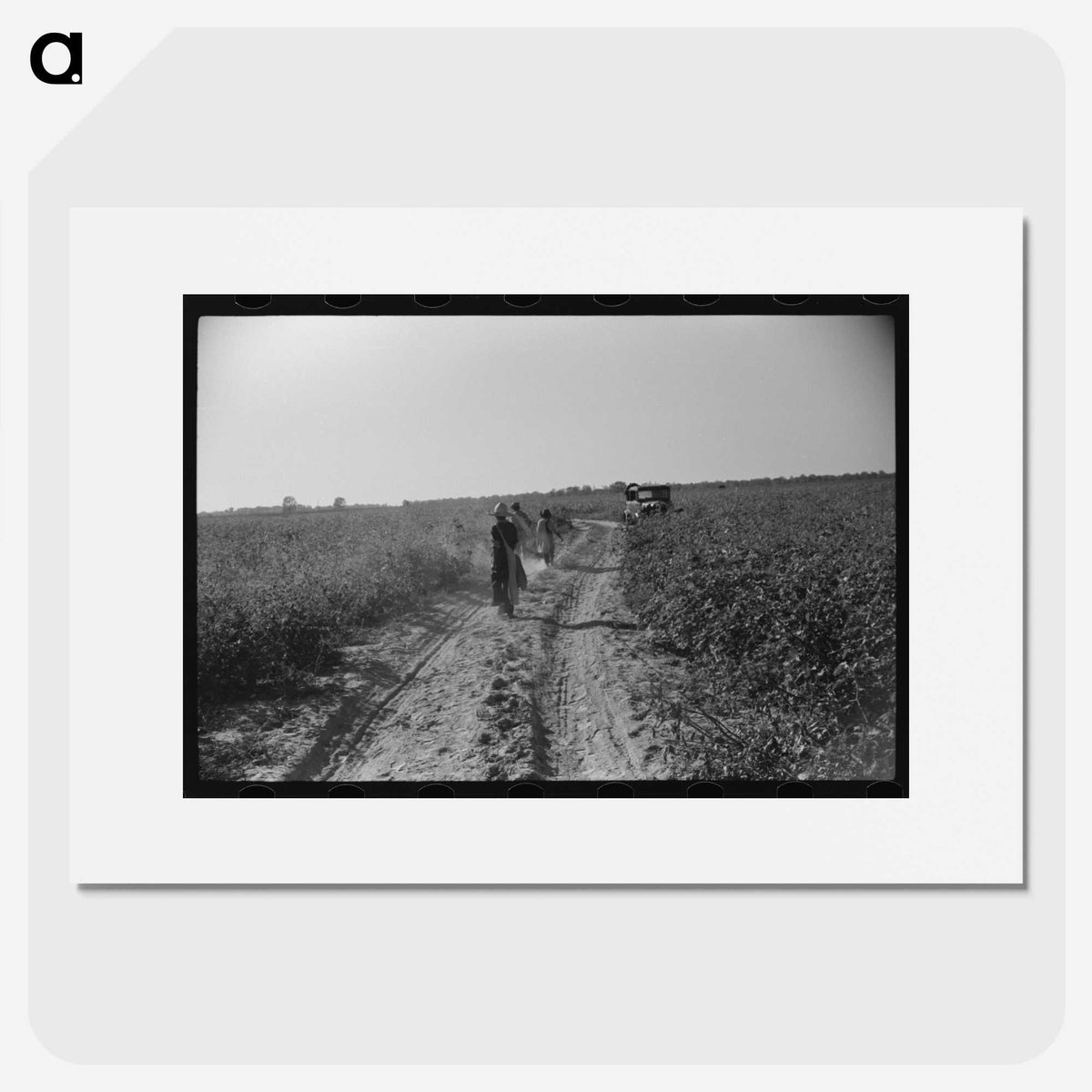 3-49_Marion-Post-Wolcott_picture