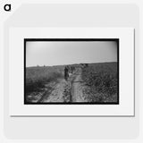 3-49_Marion-Post-Wolcott_picture