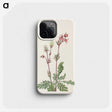 3-49_Mary-Vaux-Walcott_phone