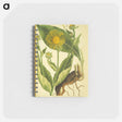 アートメモ帳-Elecampane =: Helenium
 - 国立医学図書館 Memo.