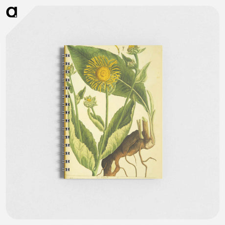 アートメモ帳-Elecampane =: Helenium
 - 国立医学図書館 Memo.