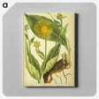 3-49_National-Library-of-Medicine_canvas