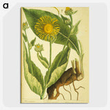 3-49_National-Library-of-Medicine_picture-crop